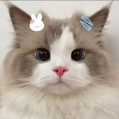 زبیر احمد avatar