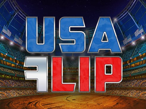 USA Flip screenshot